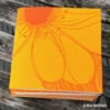 Ideensammler Sonne – Bild 2